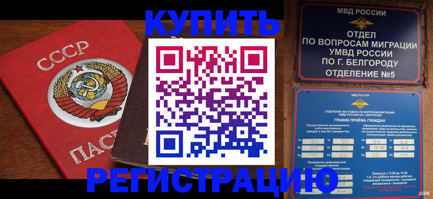 прописка для работы в Зеленодольске